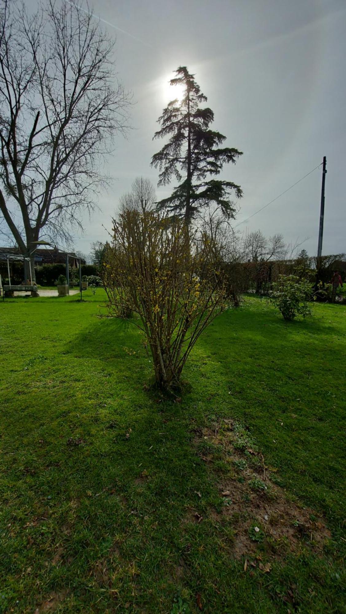 Villa Maella Saint-Michel-Tuboeuf Exteriér fotografie