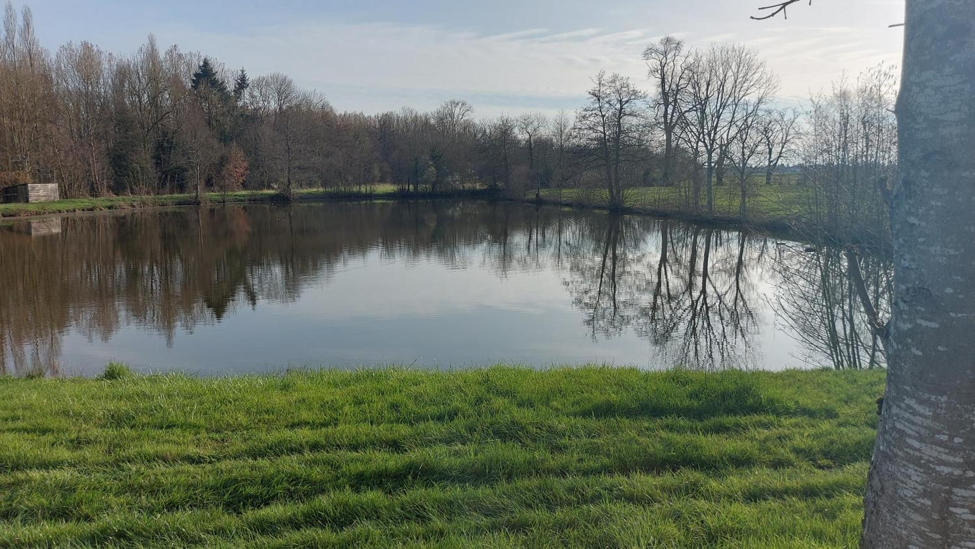 Villa Maella Saint-Michel-Tuboeuf Exteriér fotografie